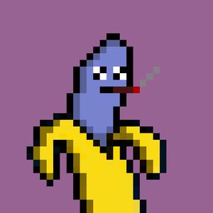 dfinity_banana: 1550